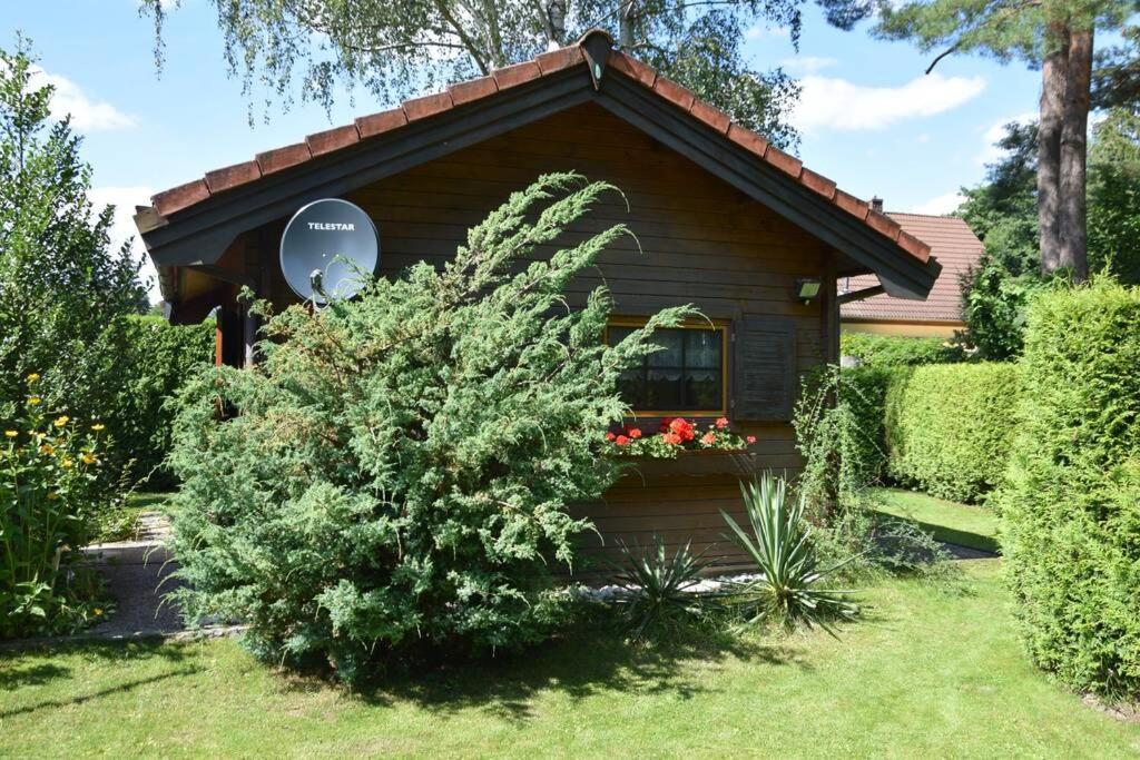 Вілла Gemuetliches Blockhaus, Waldblick, Naehe Ber/Sxf Берлін Екстер'єр фото